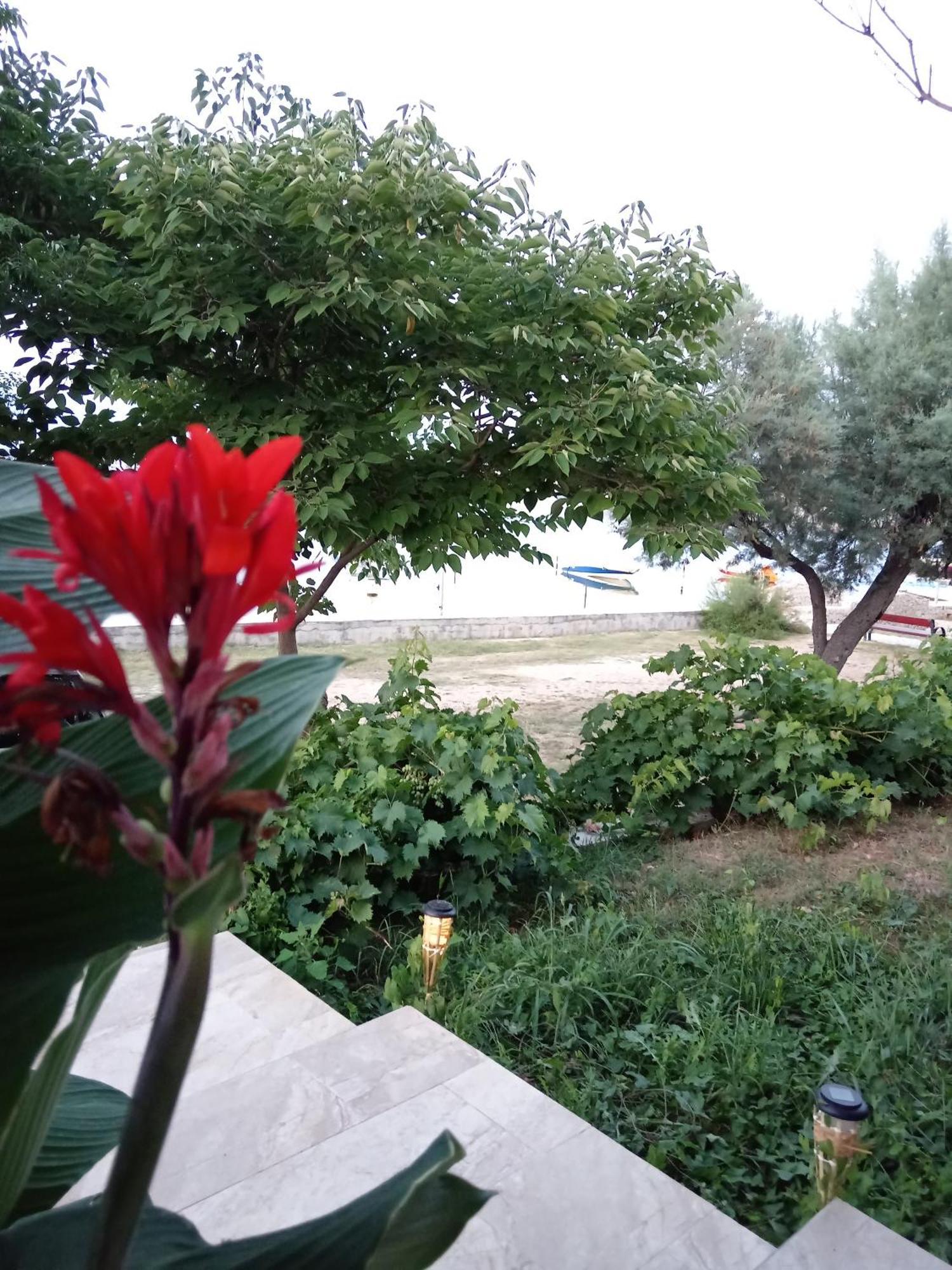 Apartment Seaview Apartments, Ventura Nin